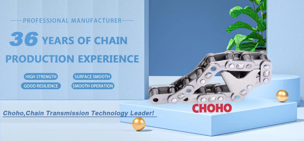 Cgs38 Cgs38p2 GS38 GS38c6e GS38f3 Lifting Steel Link Stainless Steel Conveyor Roller Chain