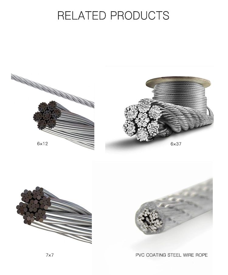 304 7X7 4mm PVC Coated Galvanized Steel Wire Rope