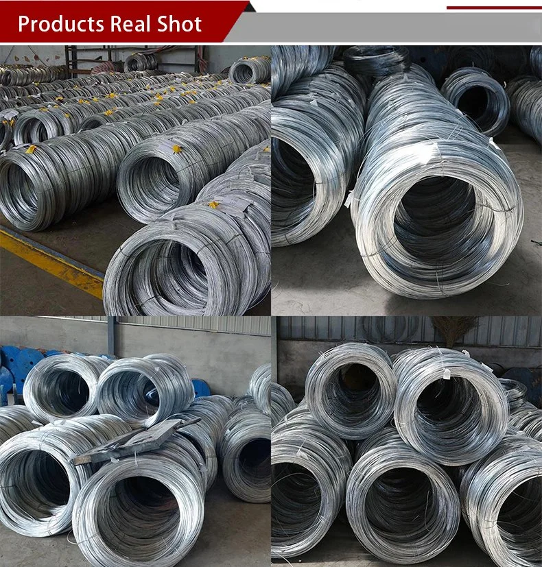 Recommend Wire Steel Bwg16 Galvanized Spring Steel Wire for Sale