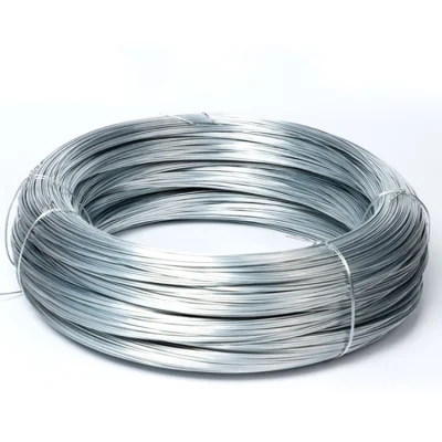 2.5mm 6 mm Bwg21 Sch80 Ss400 S235jr Q345 Q195 Zinc Coated Elevator Galvanized High Tensile Carbon Steel Wire Rope