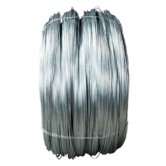 Recommend Wire Steel Bwg16 Galvanized Spring Steel Wire for Sale
