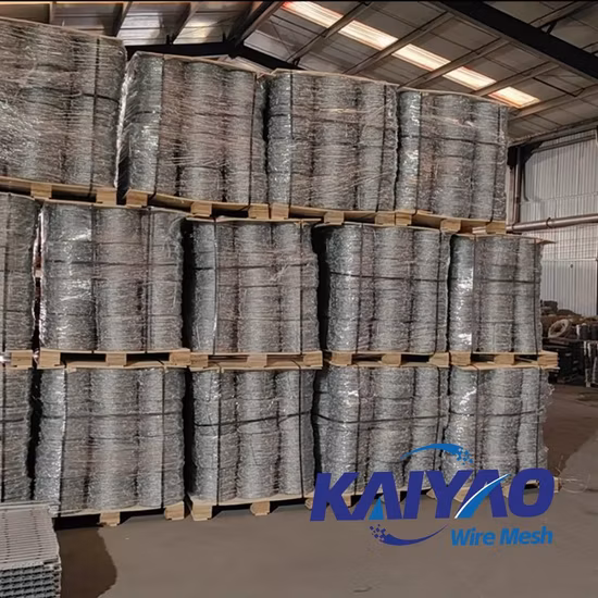 Manufacturer PVC Coated / Hot Dipped Galvanized/ Stainless/Steel Wire Rope