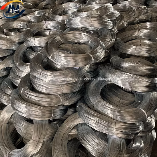 Hot Dipped/Electric Galvanized Mild Steel Binding Wire/Black Annealed Rebar Iron Tie Wire 16 Gauge Stainless Steel Spool for Construction/Building Material